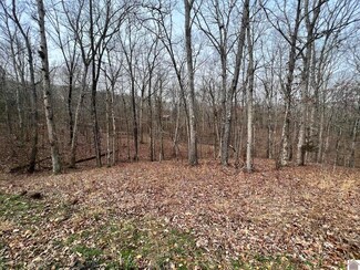 00 Tearose Drive Lots 810-812, New Concord, KY 42076