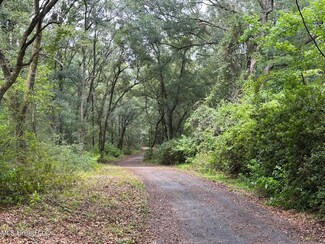 16.87ac Josh Ln, Lucedale, MS 39452