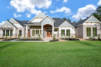 8603 Trinity Pines Ct, Montgomery, TX 77316