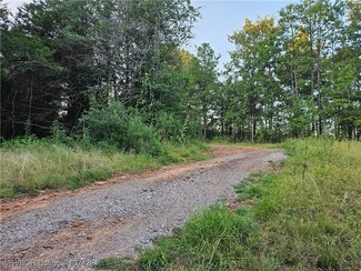 9943 Rough Branch Rd, Mulberry, AR 72947
