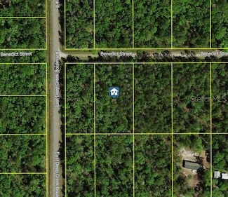 4795 Benedict St, Hastings, FL 32145