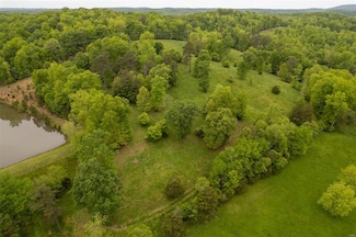 1334 Wayne 366, Piedmont, MO 63957
