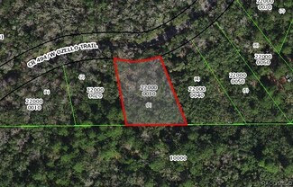 10322 W Ozello Trail, Crystal River, FL 34429