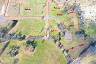 tbd Lot 30 Southshores, Pittsburg, TX 75686