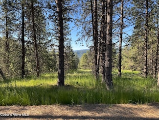 NKA(Lot 2) Baby Cougar Ln, Coeur D'Alene, ID 83815