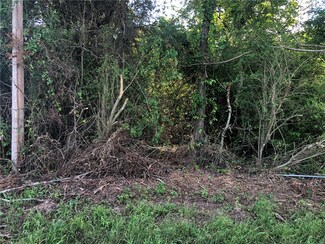 0 Rock Hollow Rd Unit 1308093, Hector, AR 72843