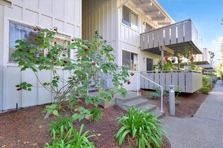 255 S Rengstorff Ave Unit 116, Mountain View, CA 94040