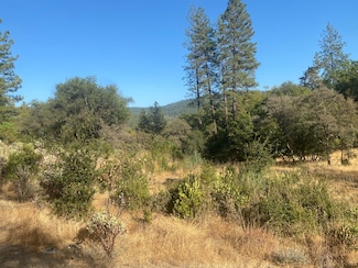 13911 Ingersoll Dr, Dobbins, CA 95935