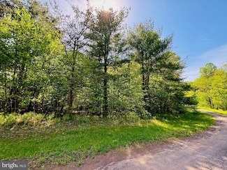 Lot: 42 Paradise Rd, Todd Township, PA 16657