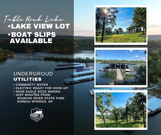 Lot 40a Boulder Ridge, White River Township, MO 65641