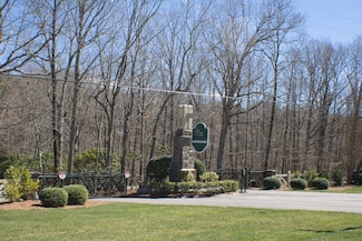 12.98acres Chester Dr Unit Lot 4CC, Rising Fawn, GA 30738