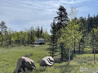 22 Tami Rd, Red Feather Lakes, CO 80545