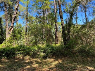 5961 E Vale St, Inverness Highlands South, FL 34452