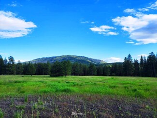 5 Wiehl Rd, Cle Elum, WA 98922