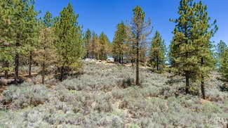 27181 Stirrup Way, Tehachapi, CA 93561