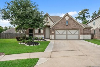 11622 Lawson Pine Ln, Tomball, TX 77377