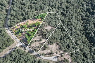 0 Coyote Trail Unit 1502670, Spencer, TN 38585