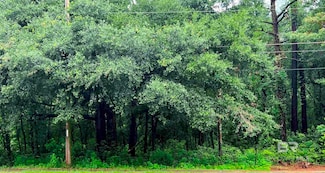 0 S Section St Unit 2 358159, Fairhope, AL 36532