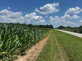 N Side Hwy 95, Smithfield, IL 61477