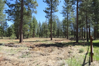 7 Castle Dr, Chiloquin, OR 97624