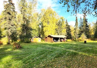 6825 Alexander Creek Unit TRACT A-1, Remote, AK 99000