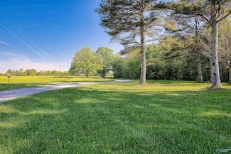 24552 Leatha Mae Way, Athens, AL 35613