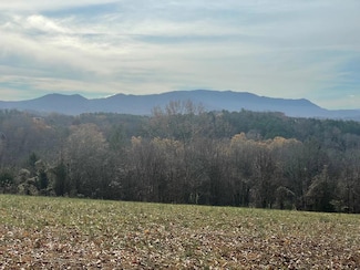 0 Quiet Cove Way Lot 46, Dandridge, TN 37725
