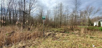 0 W Nevada Ave Unit 4450356, Sebring, OH 44672