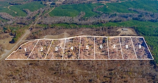 4 County Road 4251, New Site, MS 38859