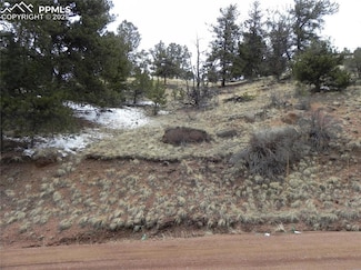 153 Idlewood, Cripple Creek, CO 80813