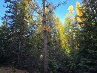 20XX Summit Valley Rd, Addy, WA 99101