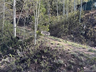 7394 County Road 43, Bailey, CO 80421