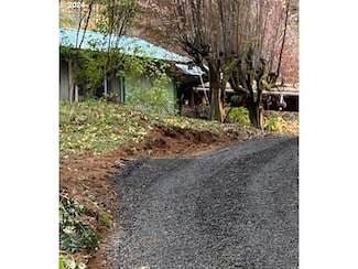 56010 Goldbrick Rd, Myrtle Point, OR 97458