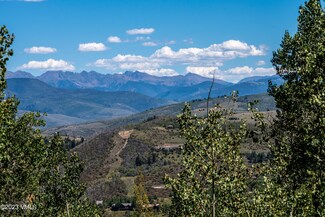 1121 Forest Trail, Edwards, CO 81632