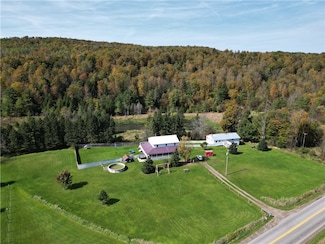 623 County Route 103, Woodhull, NY 14898