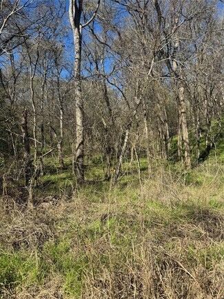 Lots 638. 639. 640 Kaukonahua Ln, Bastrop, TX 78602