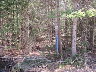 TBD Off Rice Lake Rd, Lake Linden, MI 49945