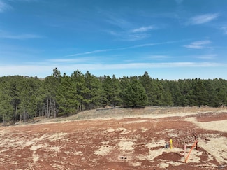5850 Wind River Rd, Rapid City, SD 57702