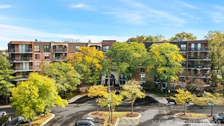 509 Aurora Ave Unit 204, Naperville, IL 60540
