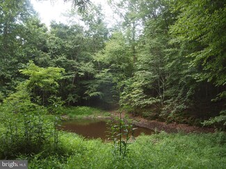 0 Off Pitsenbarger Rd Unit WVPT101534, Franklin, WV 26807