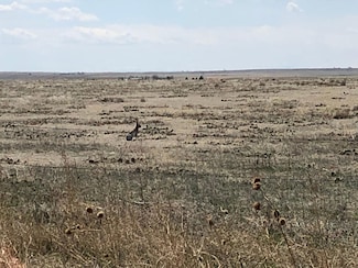 0 County Road 85, Briggsdale, CO 80611