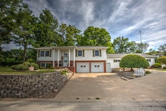 303 N Marlane Dr, Alpha, IL 61413