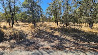 0 019-080-0240 Castano Way Unit 225132408, Coulterville, CA 95311