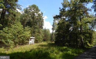 11059 Wilhoite Ln, Rapidan, VA 22733