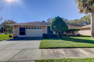 1911 Tarpon Ct, Wesley Chapel, FL 33543
