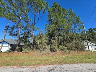 Lot 2 SW 138th St, Ocala, FL 34473