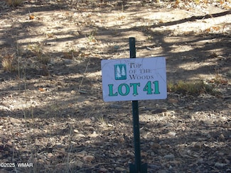 2553 Willow Way, Pinetop-Lakeside, AZ 85935