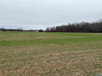 Tract #3 Stevenson Rd, Ardmore, TN 38449