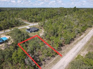 1512 W Pendleton St, Pine Ridge, FL 34434