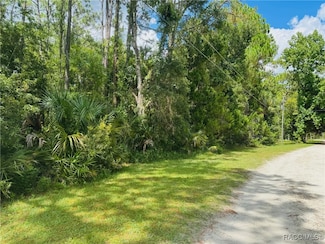 1522 N Rock Cress Path, Crystal River, FL 34429